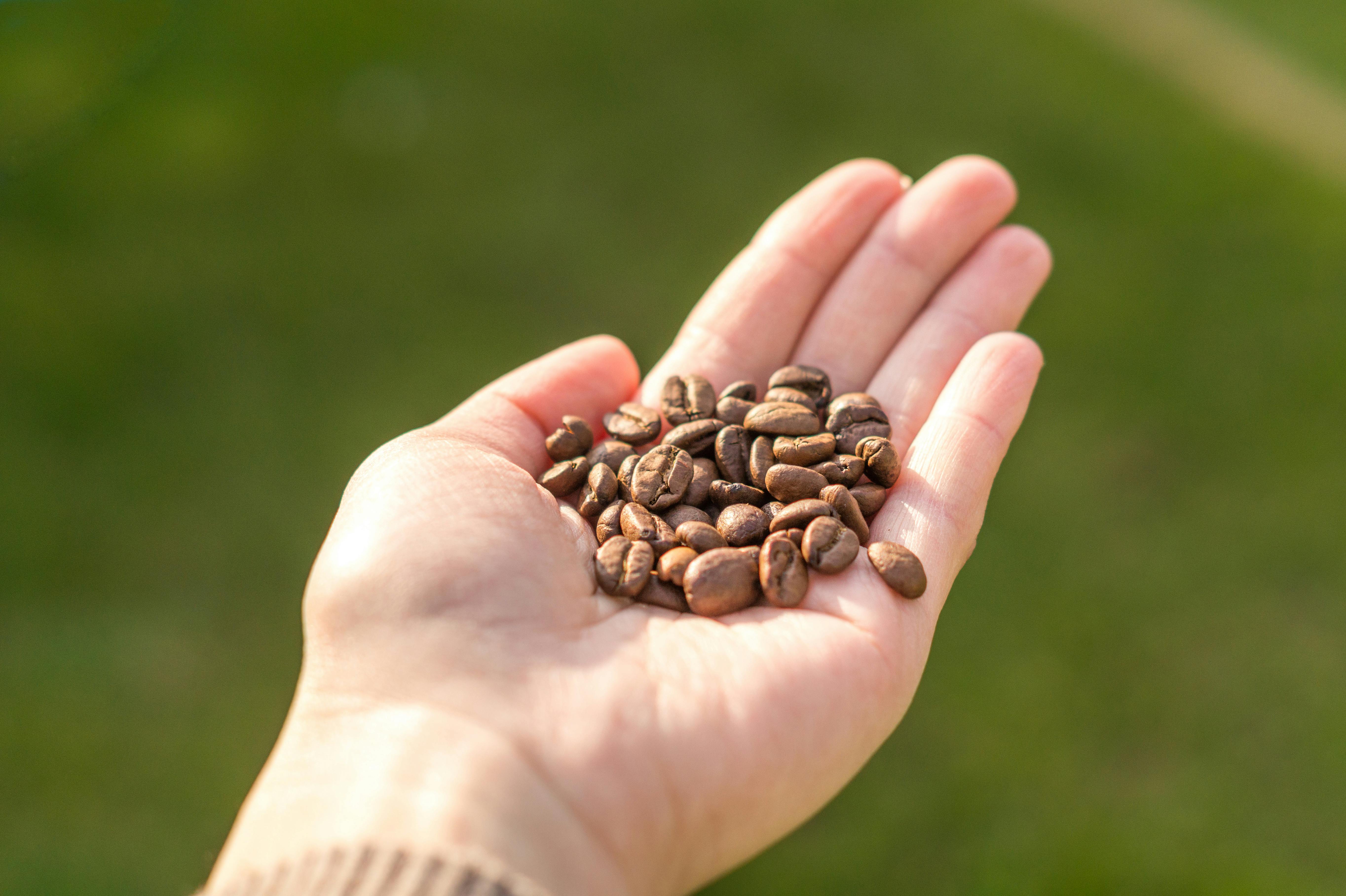 Cup of Organic Coffee